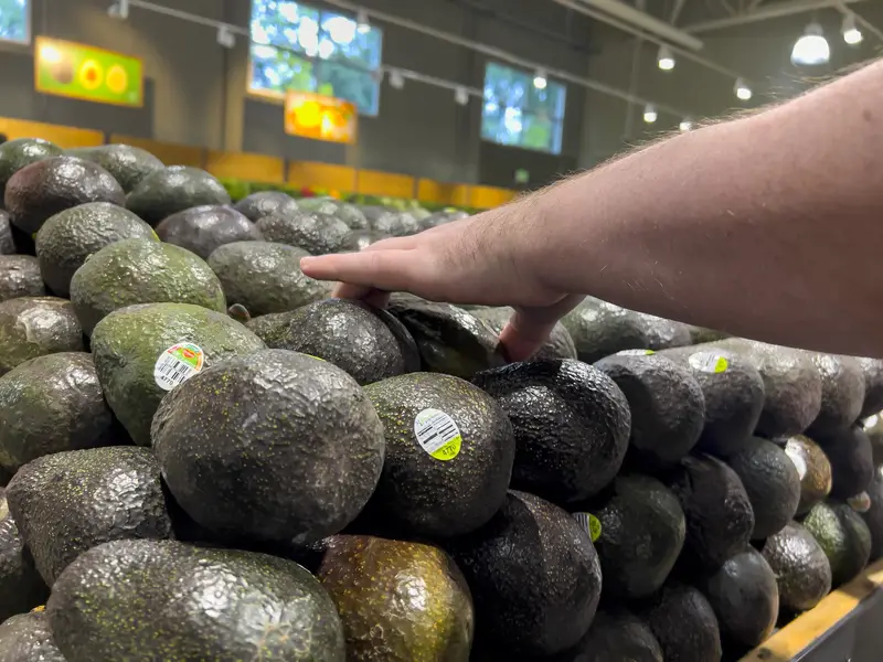 Seattle, WA USA - circa October 2022: Close up view of a man grabbing an avocado inside a Town and Country Market grocery store